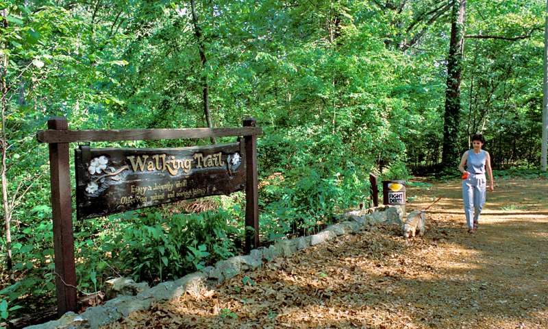 Escape to History: Davidsonville State Park, Maryland's Hidden Gem
